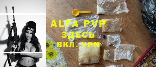 прущие грибы Алзамай