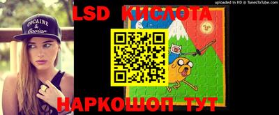 твердый Камышлов