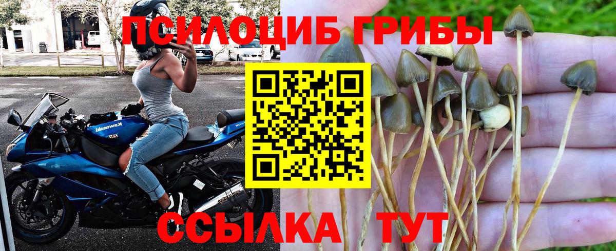 Галлюциногенные грибы GOLDEN TEACHER  Вход с VPN  Галлюциногенные грибы мухоморы  Новоуральск 
