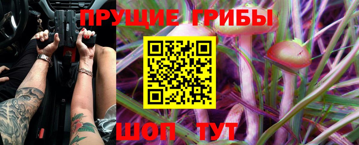 Псилоцибиновые грибы Psilocybine cubensis Новоуральск